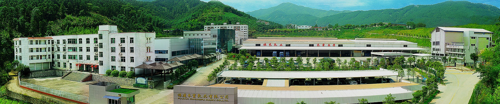联系东升国际