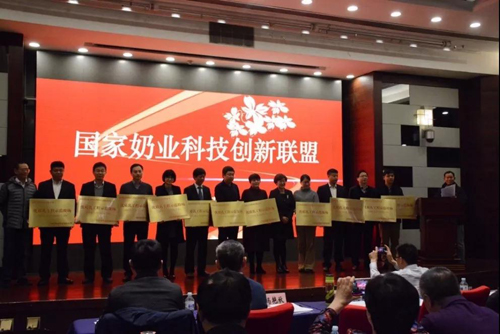东升国际(中国区) - 官方网站